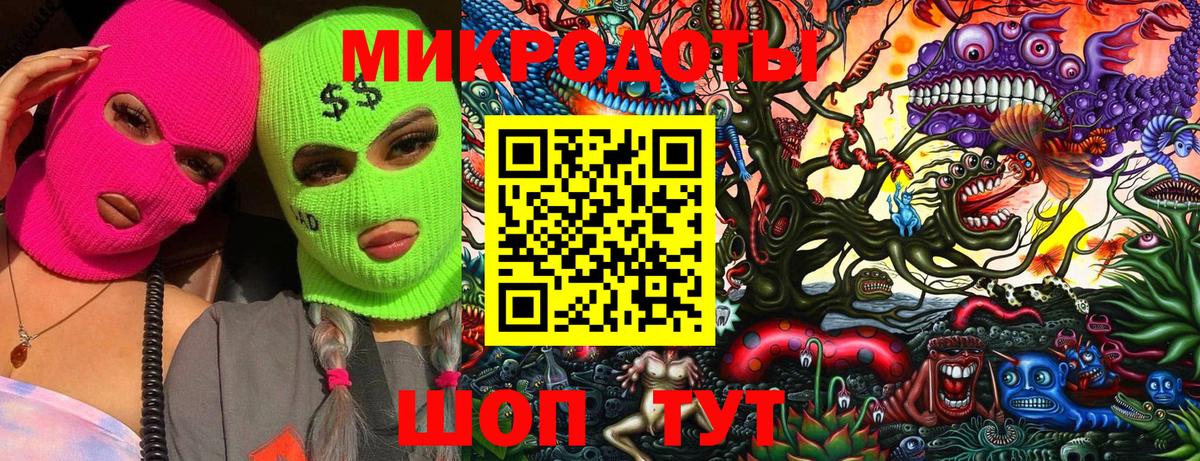 Гусь-Хрустальный  Галлюциногенные грибы Psilocybine cubensis  Вход с VPN 